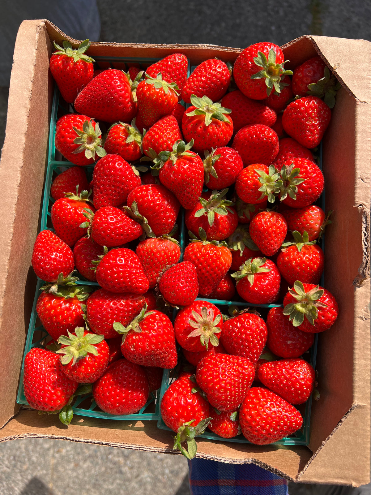 Strawberry Fig Jam