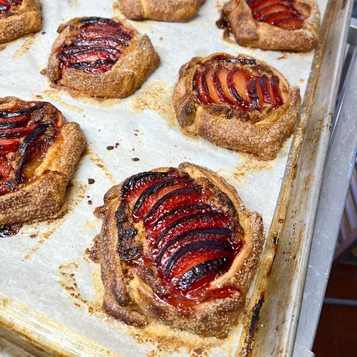 Plum Galette w/ Fennel Pistachio Cream & Apricot Jam