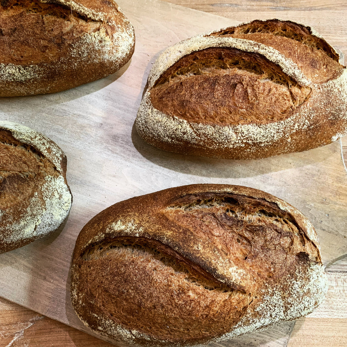Toasted Mustard Seed & Flax Levain