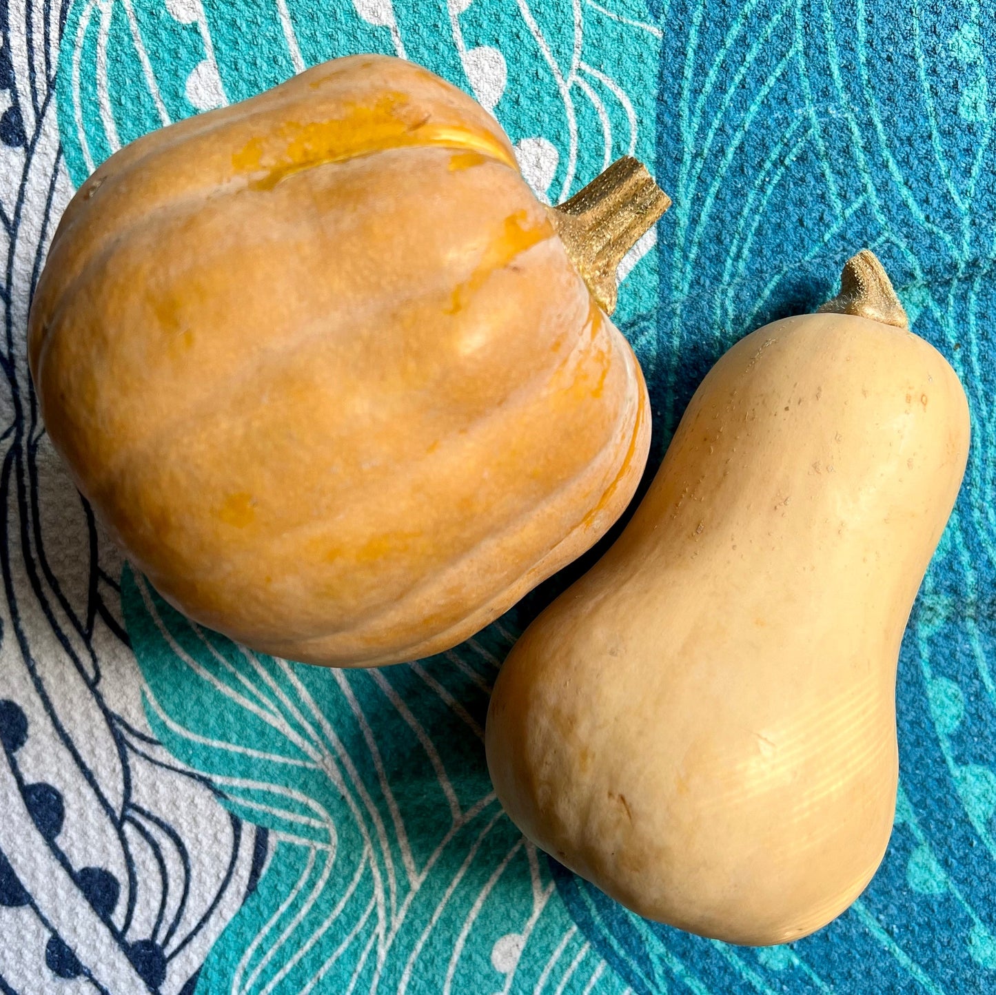 Coconut Curry Squash Soup (1 qt)
